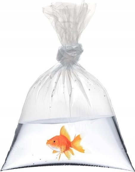 Happet HAPPET WORKI DO RYB 16x40 100szt.