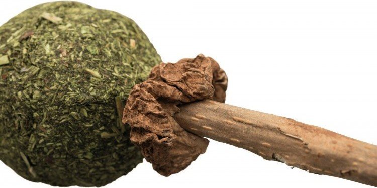 Trixie Zabawka Matatabi Lolly, 11cm