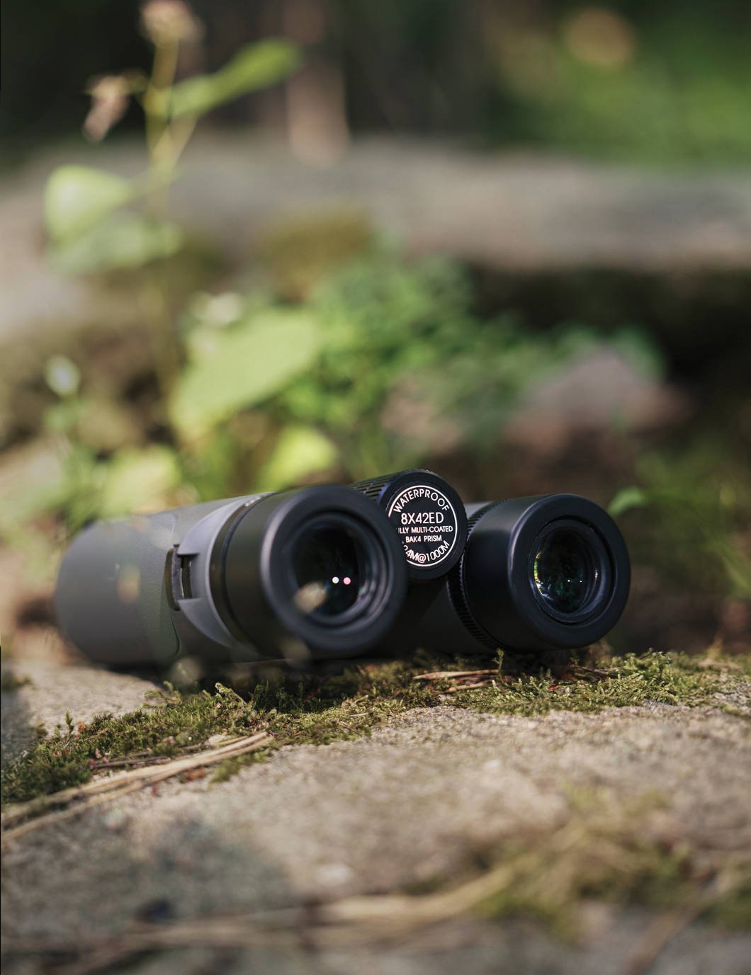 Lornetka Focus Focus Observer 8x42 ED