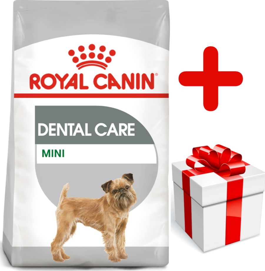 Royal Canin ROYAL CANIN CCN Mini Dental Care 8kg + niespodzianka dla psa GRATIS!