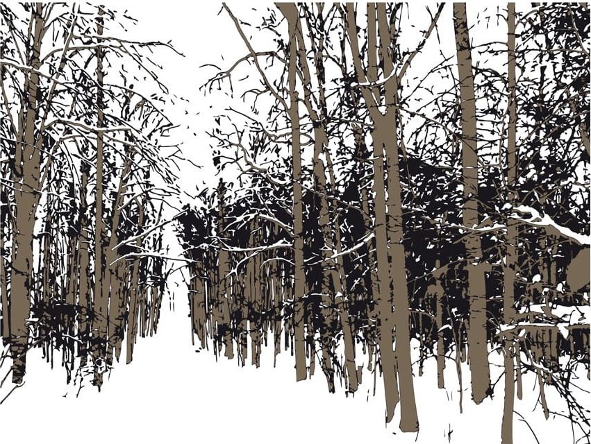 DecoNest Fototapeta - drzewa - jesień - 250X193