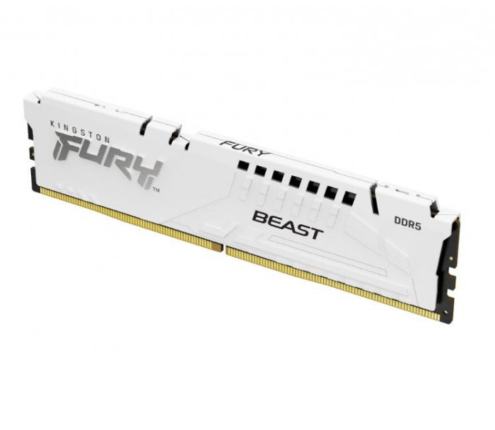 kingston Pamięć DDR5 Fury Beast 16GB(1*16GB)/6000 CL30 EXPO biała