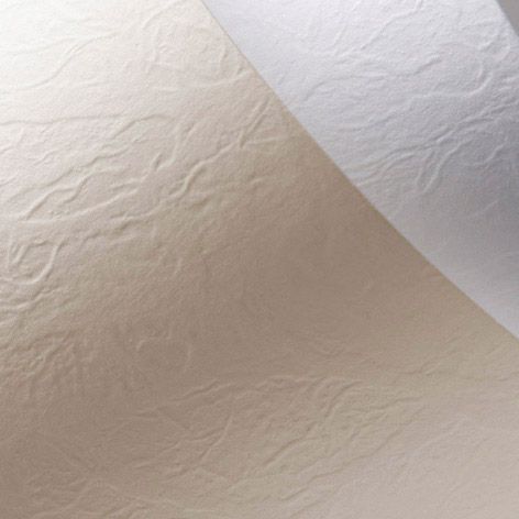 Argo Papier ozdobny Galeria Papieru skóra krem A4 230g