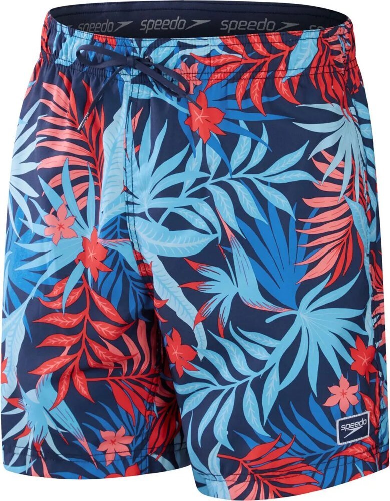 Speedo Męskie szorty Print Redondo r. XL