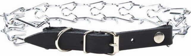 Chaba KOLCZATKA-SKÓRA 2R