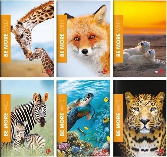 Zeszyt A4/36K kratka Be More Wild (10szt)