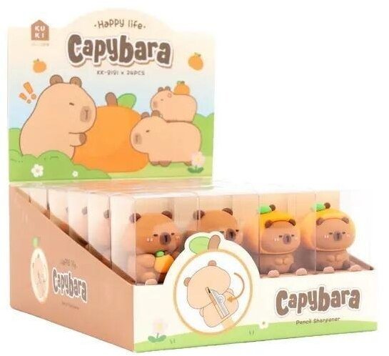 Temperówka Kapibara (24szt)