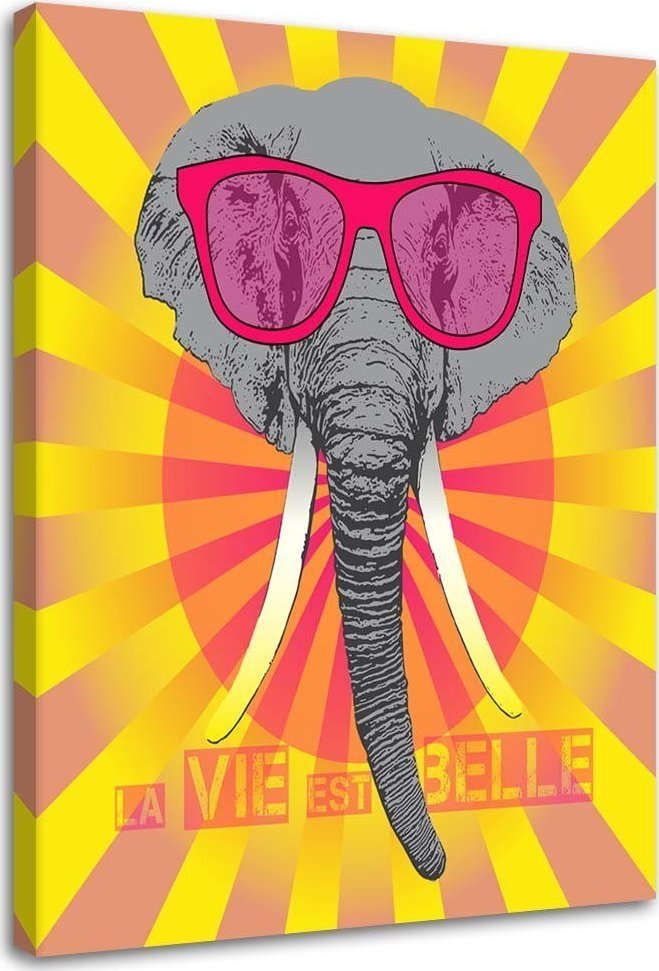 Feeby Obraz na płótnie, Słoń w okularach - 80x120