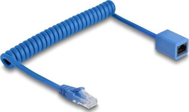 DeLOCK 90365 kabel sieciowy Niebieski 1,2 m Cat6 U/UTP (UTP)