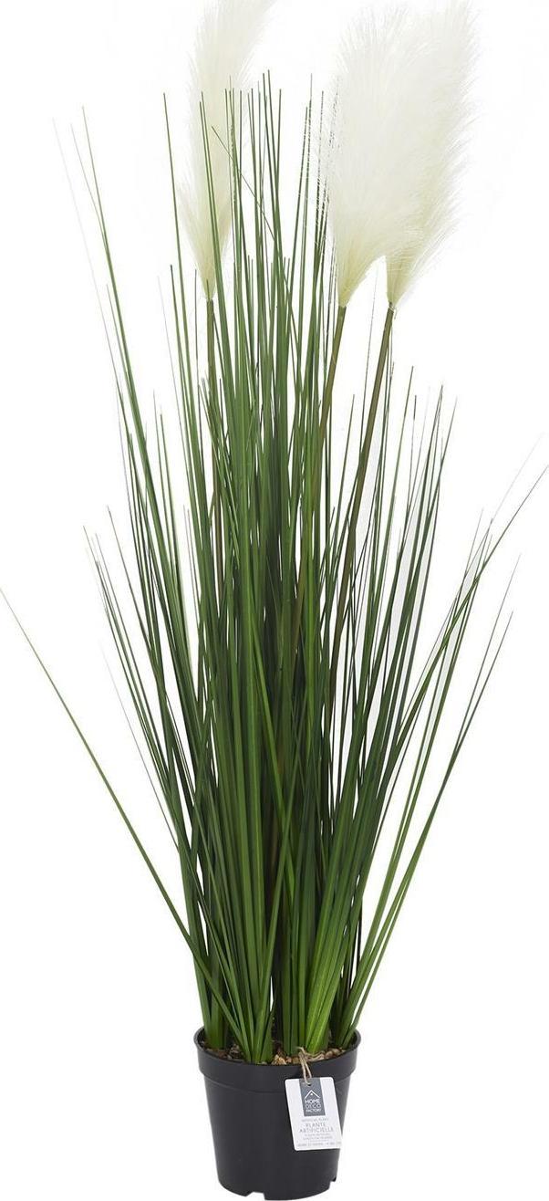 Intesi Sztuczna trawa Pampasowa zielona