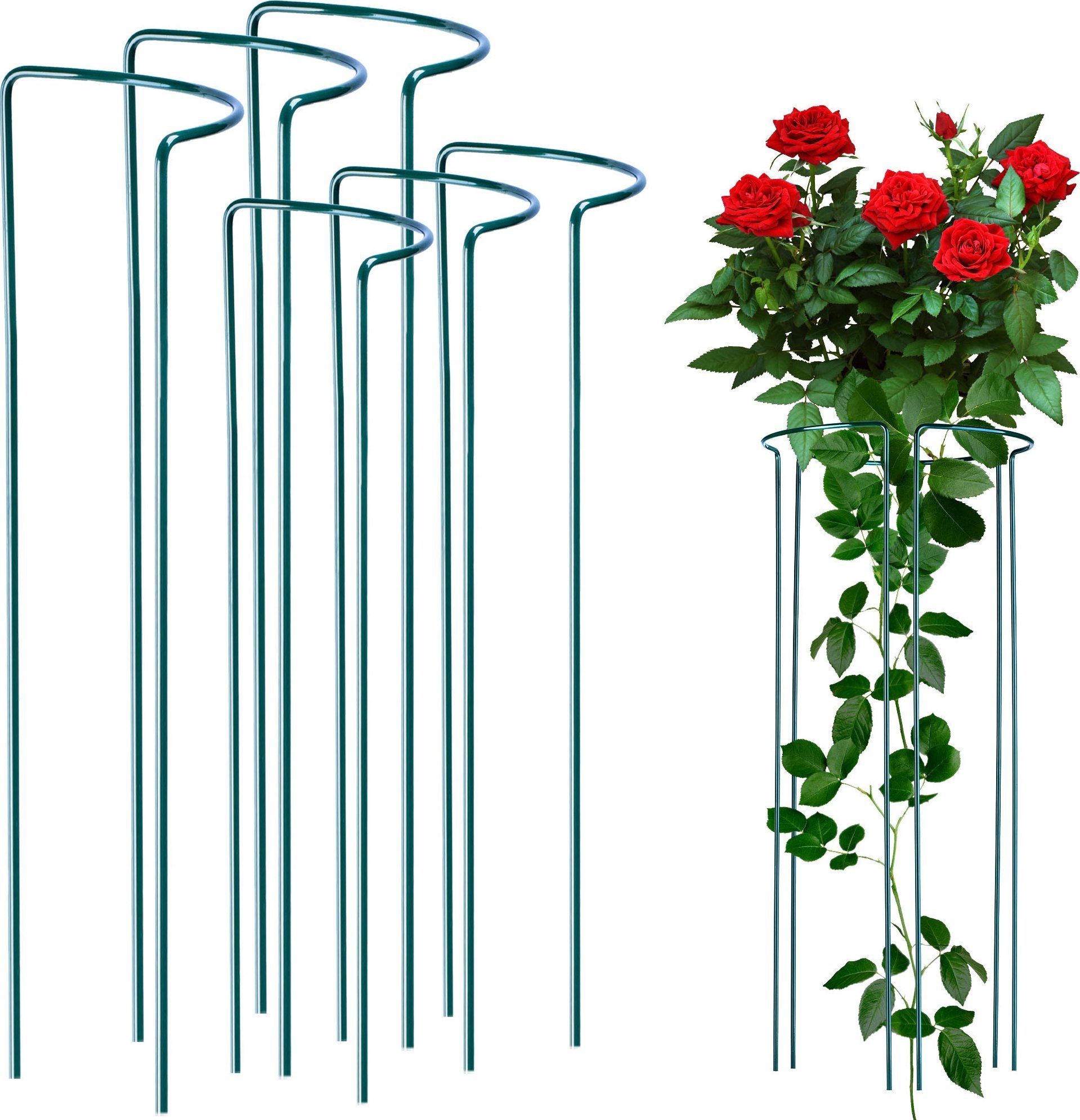 Kadax Podpora Do Roślin Kwiatów Obejma 3x90 + 3x115cm