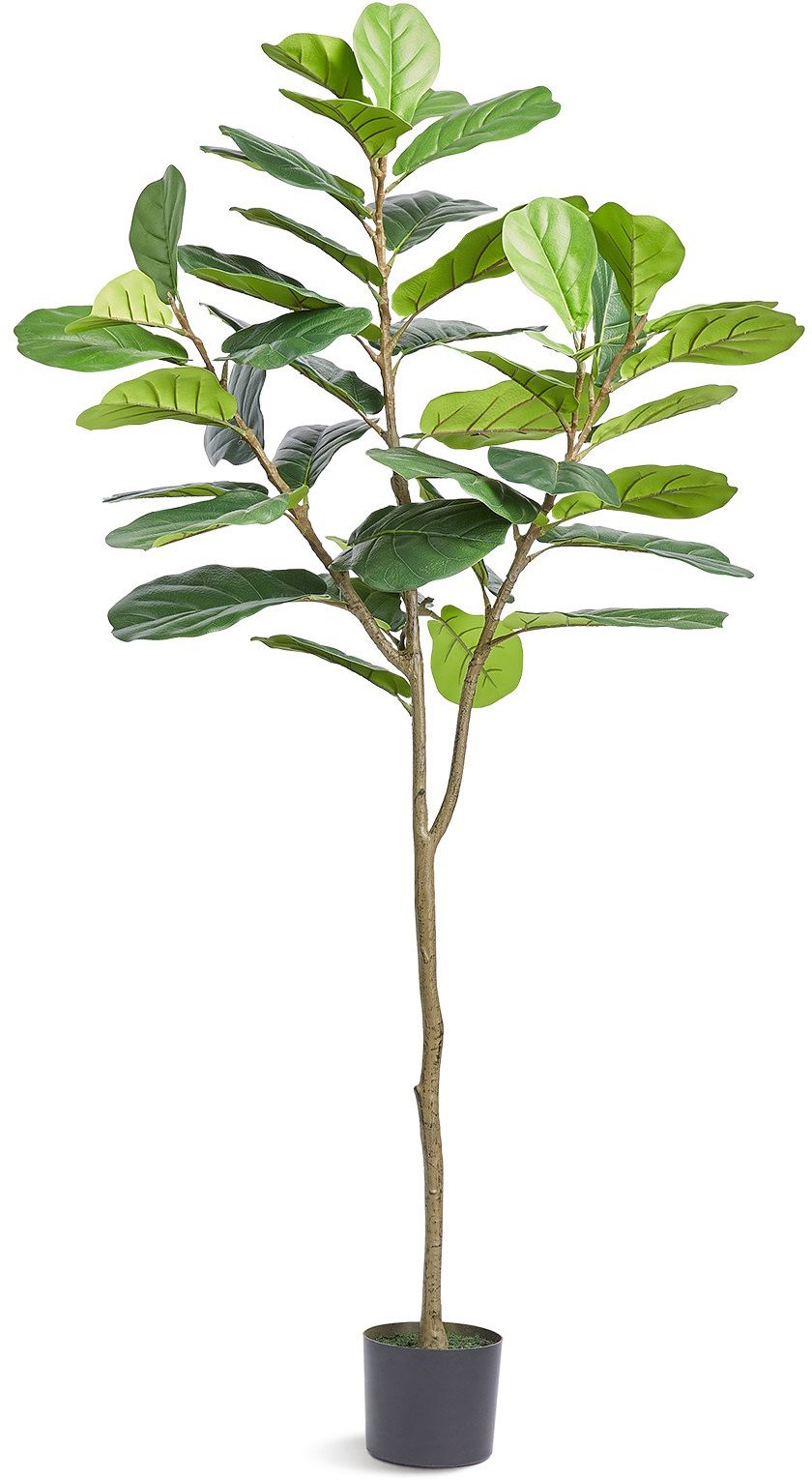 Drzewo figowiec sztuczne drzewko ozdobne drzewo figowe 155 cm