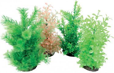 Zolux Napowietrzacz Aeroplant - L