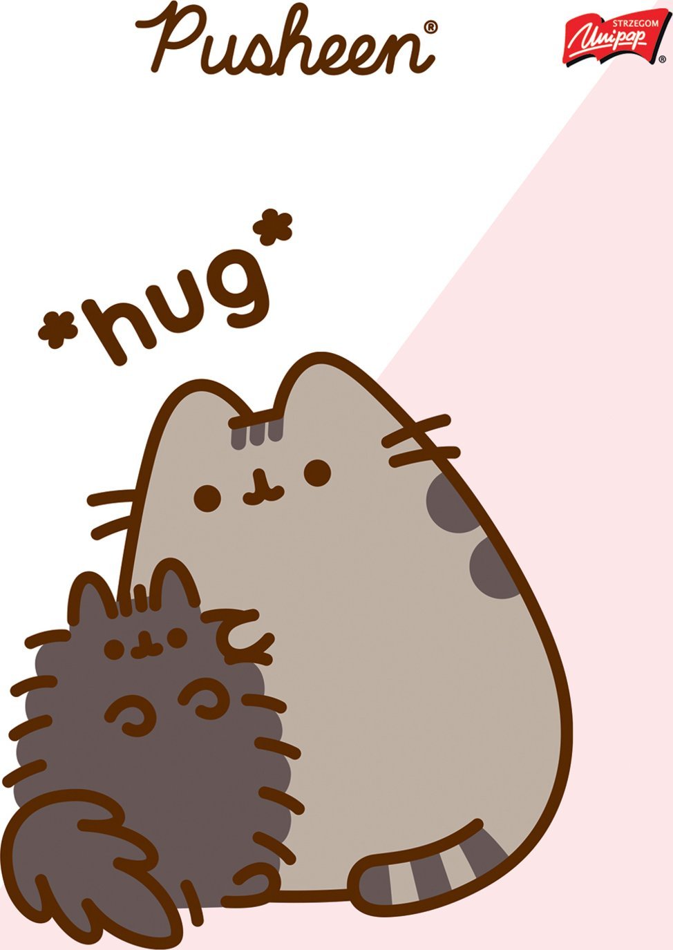 MAJEWSKI Zeszyt A5 32k linia podwójna dwukolorowa laminowany Pusheen p15 mix cena za 1 szt