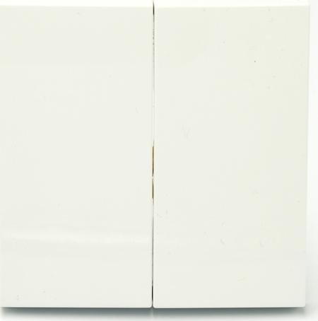 Efapel EFAPEL LOGUS90 KLAWISZE DO ŁĄCZNIKA PODWÓJNEGO KRZYŻOWEGO BIAŁY 90614 TBR