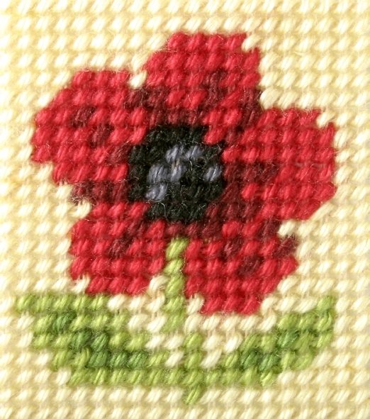 Haft. Moje pierwsze wyszywanie - Kwiatek