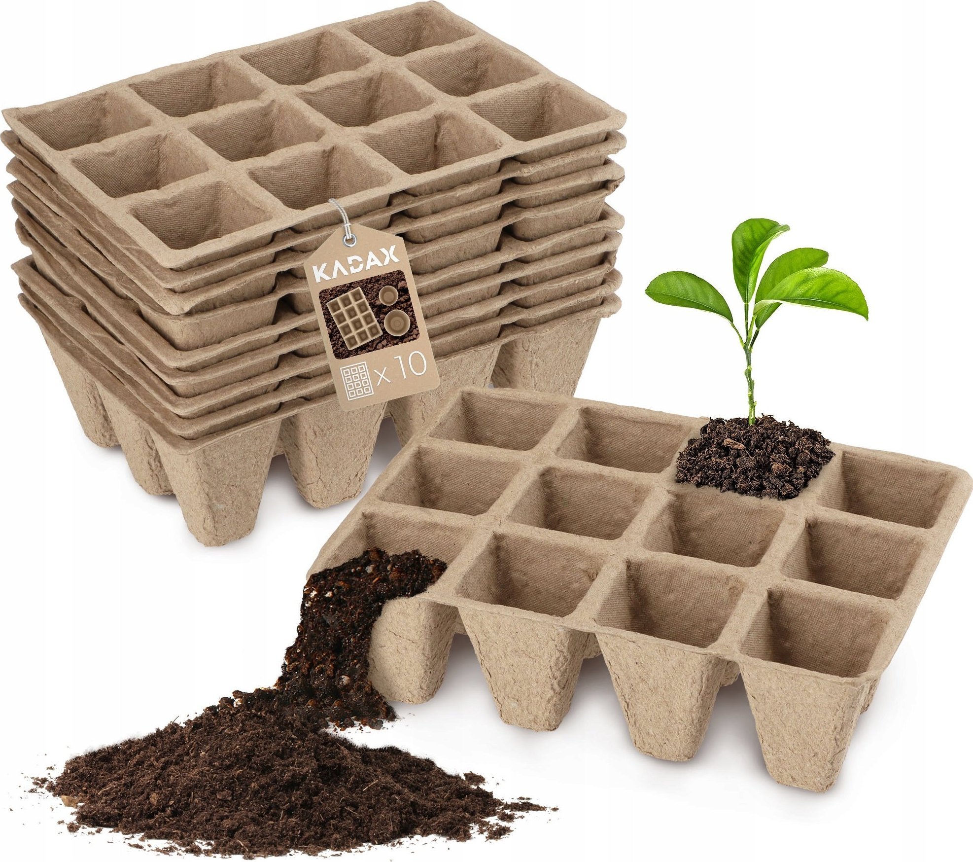 Kadax Doniczki Torfowe Na Rozsady Sadzonki 10x12szt.