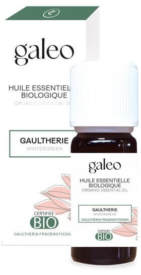 Olejek eteryczny BIO Golteriowy Galeo 10 ml