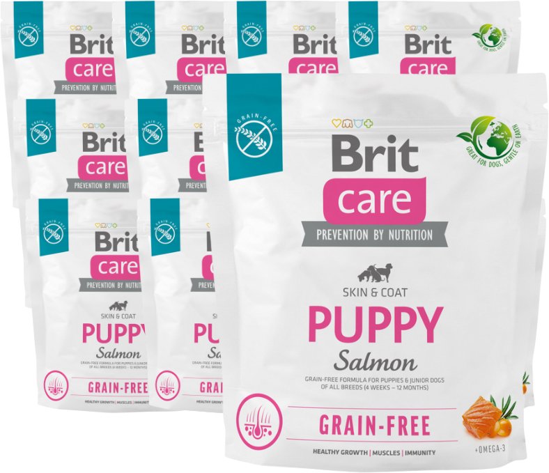 BRIT CARE Dog Grain-free Puppy Salmon 12x1kg