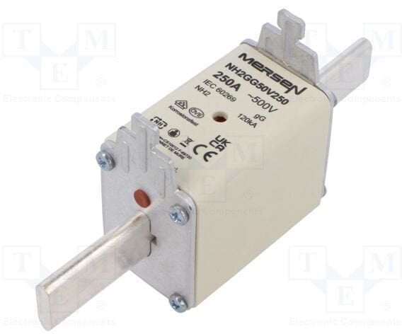 Wkładka bezpiecznikowa NH 2C 250A 500VAC gG R222494