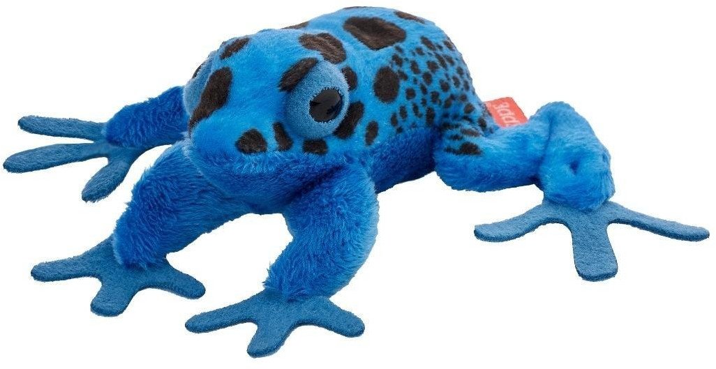 Żaba drzewołaz malarski niebieski 10cm