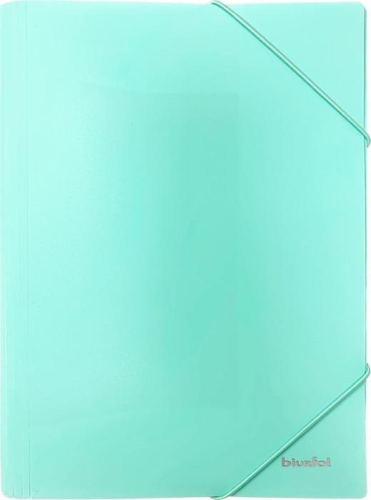 Biurfol Teczka rysunkowa z gumką A4 z folii PP pastel