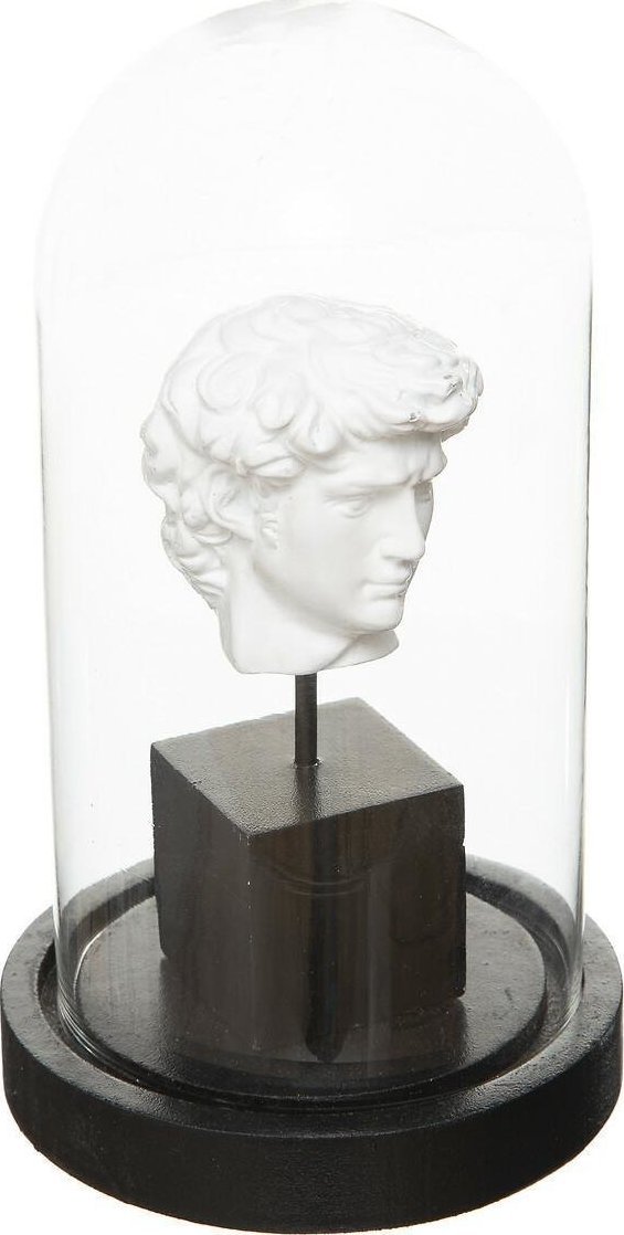 Atmosphera Dekoracja pod szkłem Dawid