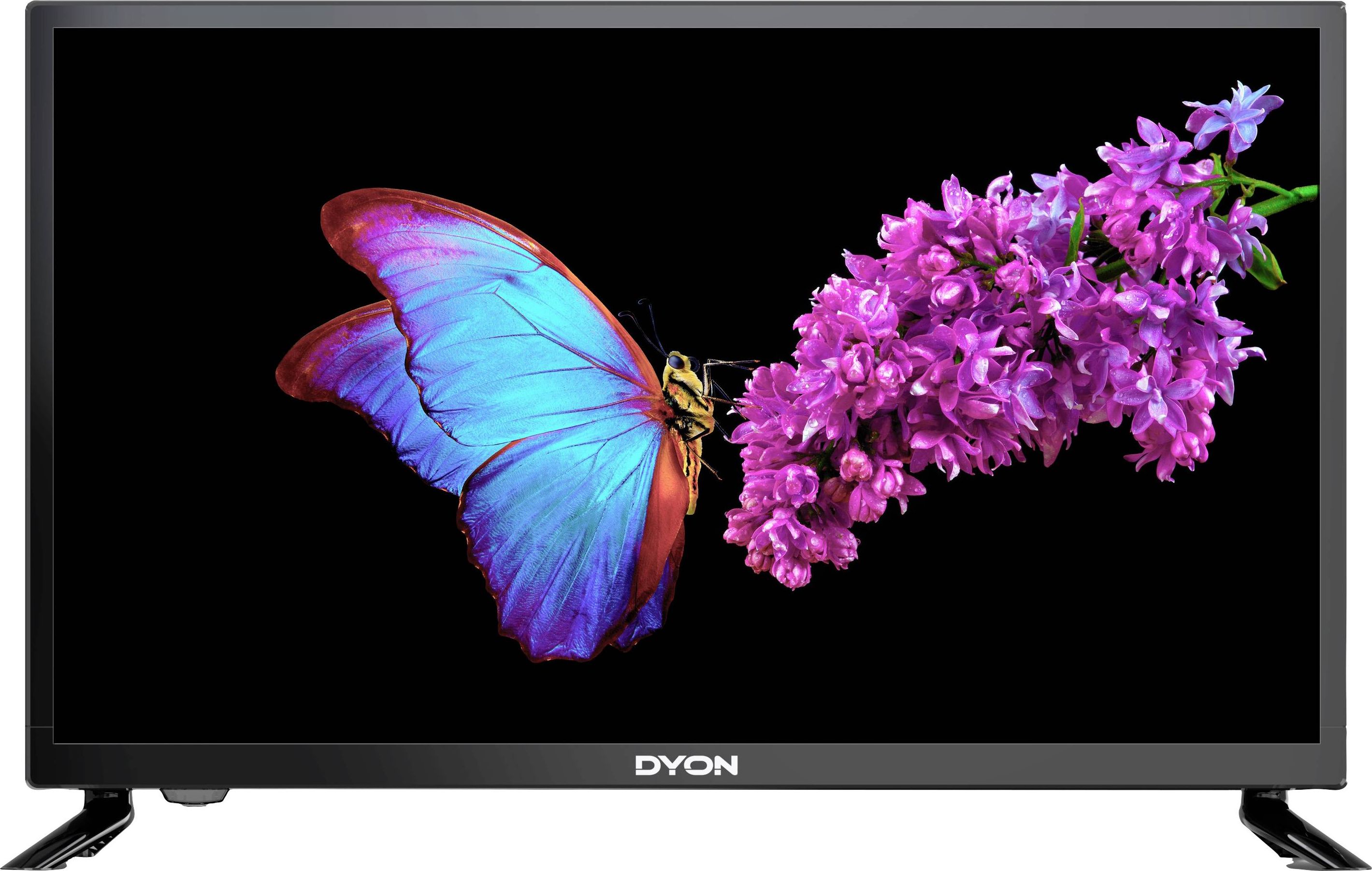 Telewizor Dyon Enter 24Pro X2 LED 24'' HD Ready
