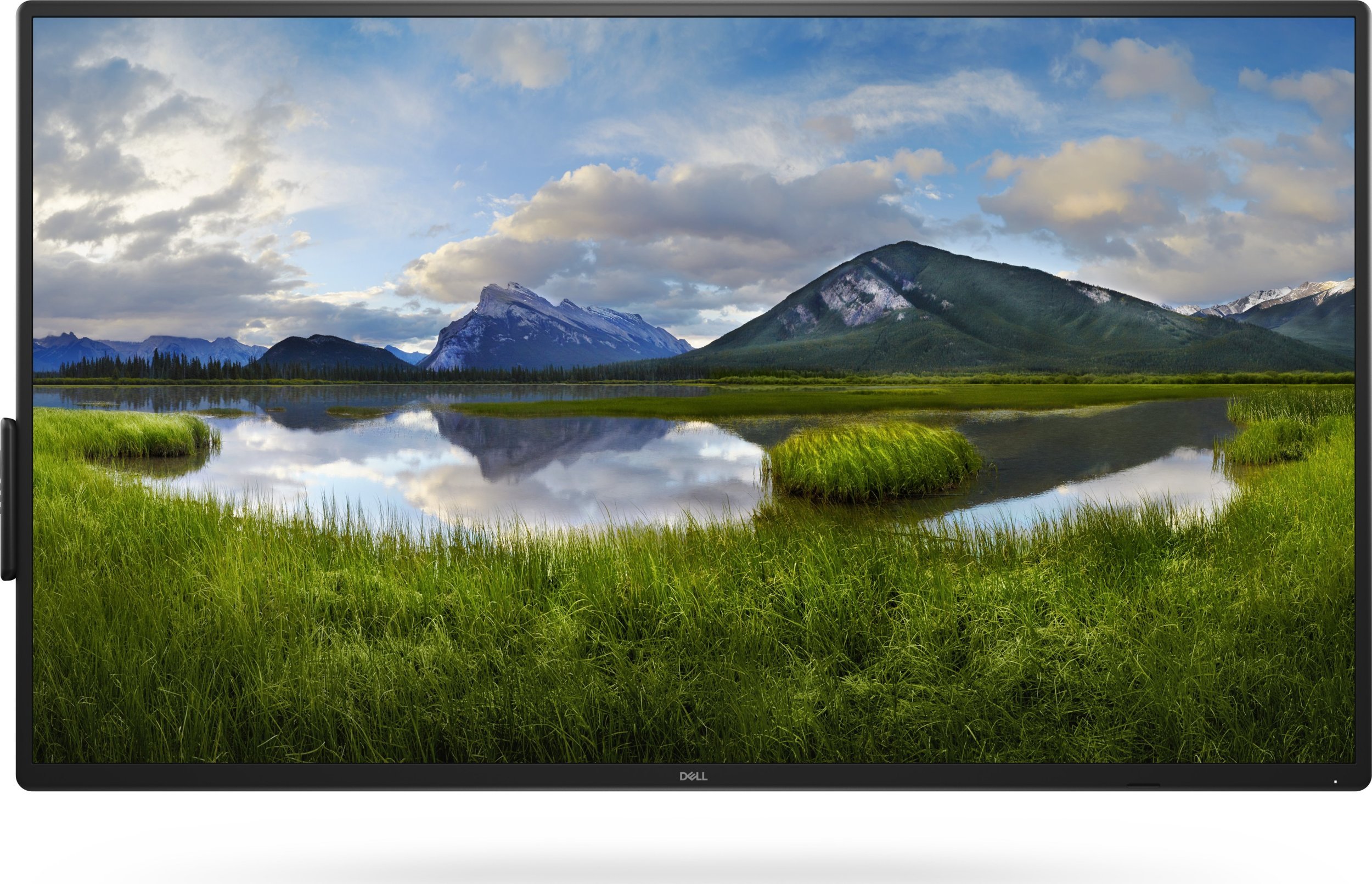 Monitor Dell P5525QC (210-BNTN)