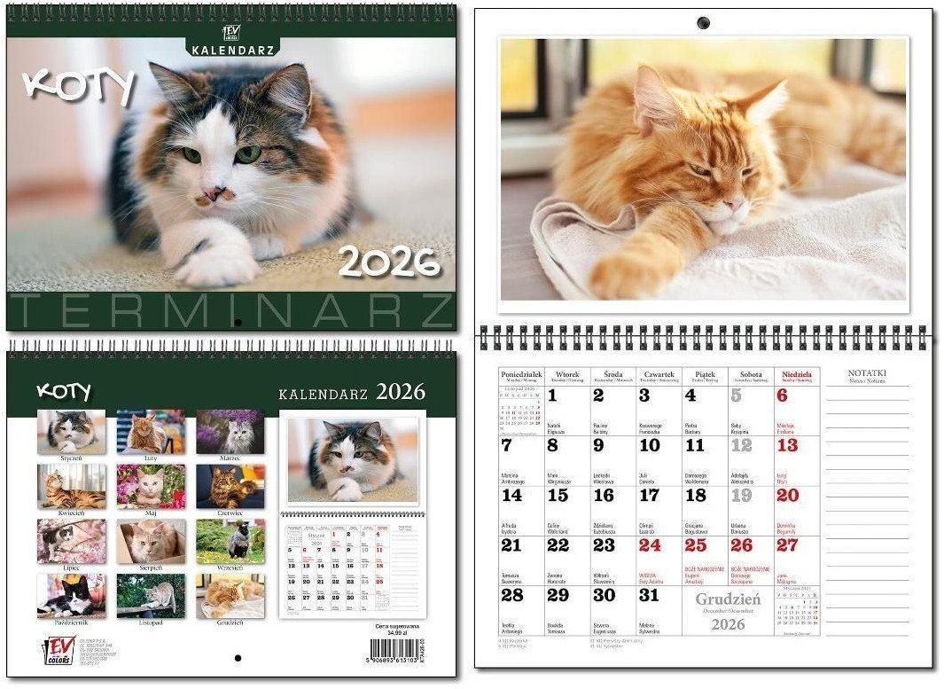 Kalendarz 2026 A3 terminarz 13p Koty