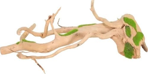 Zolux Zolux Ozdoba do akwarium korzeń KIPOUSS S z nasionami