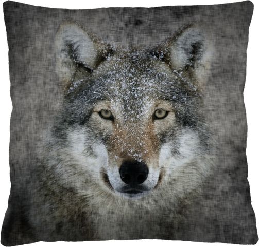 Arco PODUSZKA 40X40 LUPO