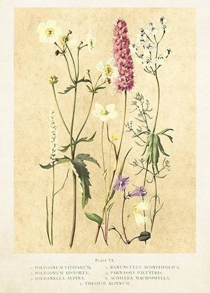 Skona Ting Karnet ST445 B6 + koperta Kwiaty polne lato