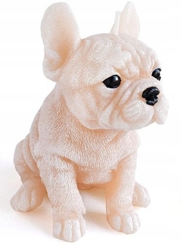 Świeca Figurka ANIMALS PIES BULDOG 11,5x15cm kremowa parafinowa