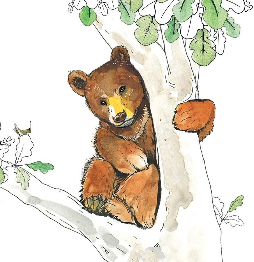 Rossi Karnet Swarovski Niedźwiedź (CL1224)