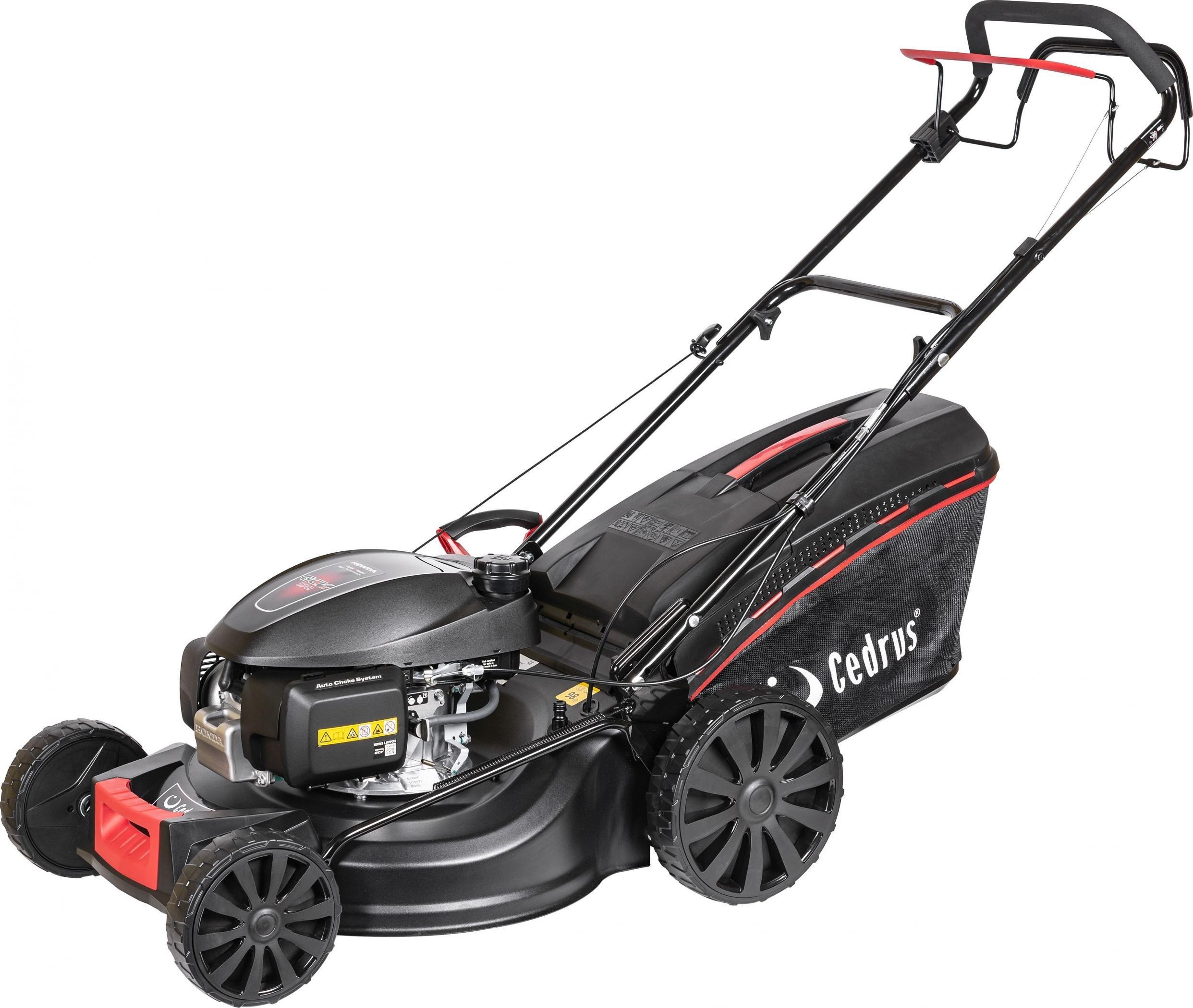 Kosiarka spalinowa Cedrus KS48S-H