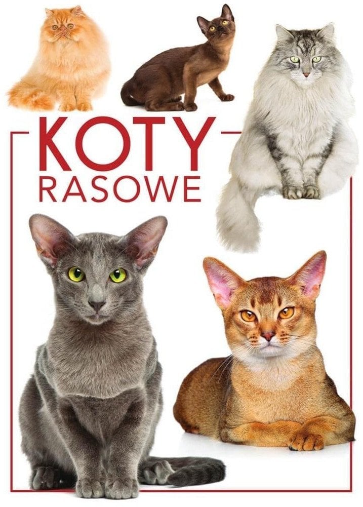 Koty rasowe