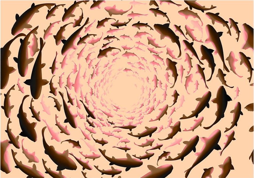 DecoNest Fototapeta - Ławica... - 150X105