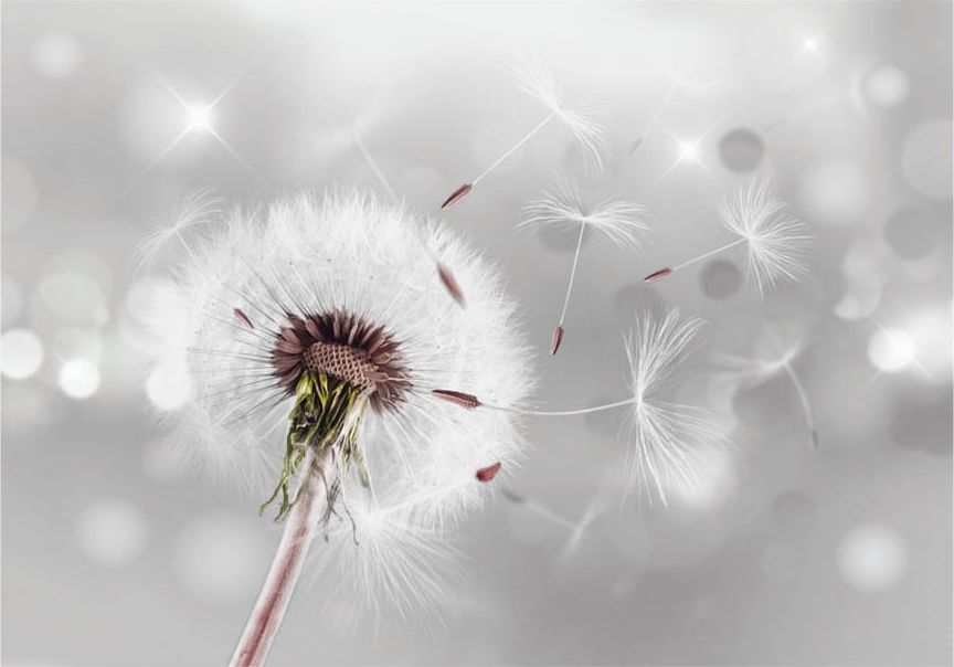 DecoNest Fototapeta - Uchwycić to co ulotne - 150X105