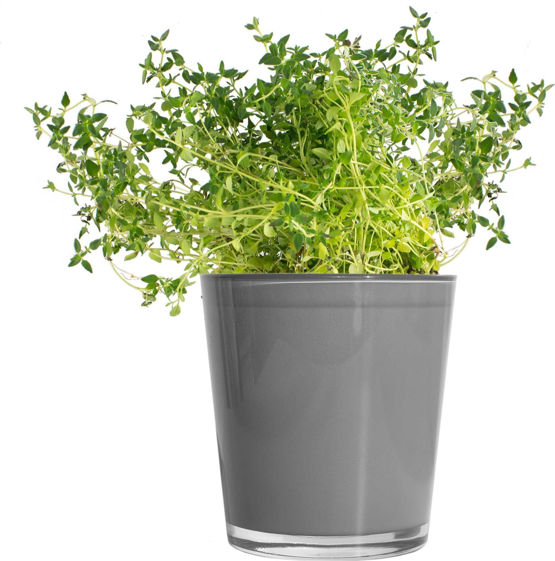 Trend Glass Osłonka na doniczkę Orchid szara