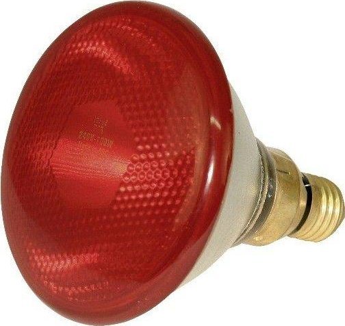 Triton KERBL Żarówka, promiennik 100 W, czerwona, PAR38