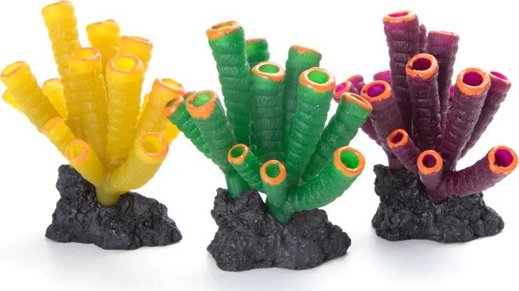 Nobleza Odblaskowy koral Odblaskowy koral