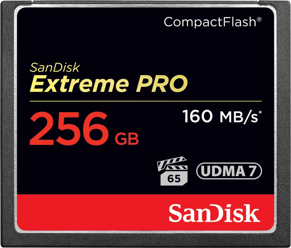 Karta SanDisk Extreme PRO Compact Flash 256 GB (SDCFXPS-256G-X46)