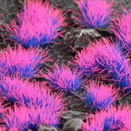 Gamers Grass Gamers Grass: Special tufts - 4 mm - Alien Neon (Wild)