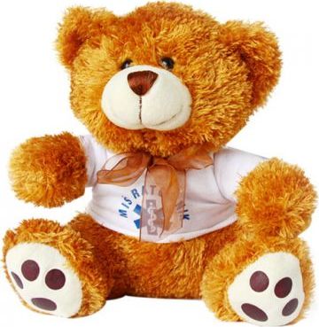 Polska Firma Miś Ratownik duży brązowy