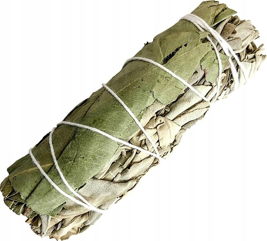 Neofarma BIAŁA SZAŁWIA I EUKALIPTUS NATURALNE KADZIDŁO