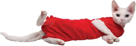 Grande Finale WET KOSZULKA POOPERACYJNA 1 (NIEBIESKA) 25cm UNIWERSALNA [WET1/1(KOT)(N)]