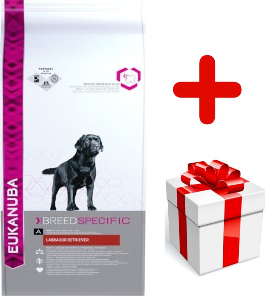 Eukanuba Eukanuba adult labrador retriever 12kg + niespodzianka dla psa GRATIS!