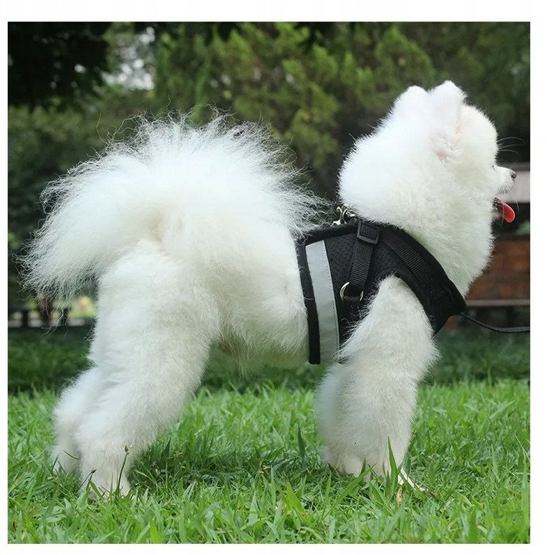 SZELKI BEZUCISKOWE SPACEROWE REGULOWANE ODBLASK DLA KOTA + SMYCZ ROZMIAR M