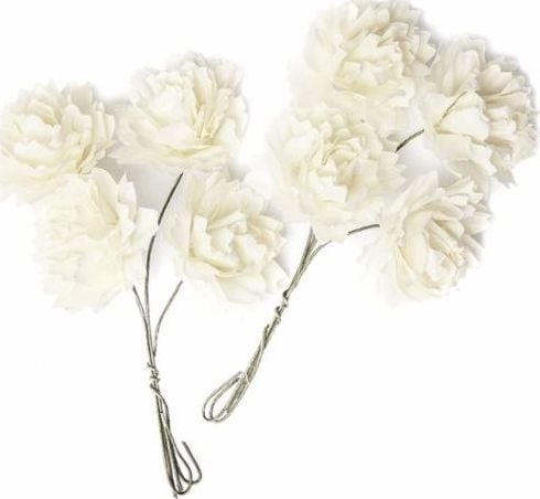 DP Craft Kwiaty papierowe DPCRAFT Ecru 8szt. Dalprint